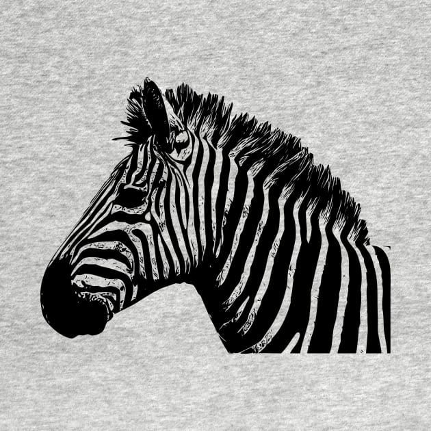 Zebra by Isabelledesign